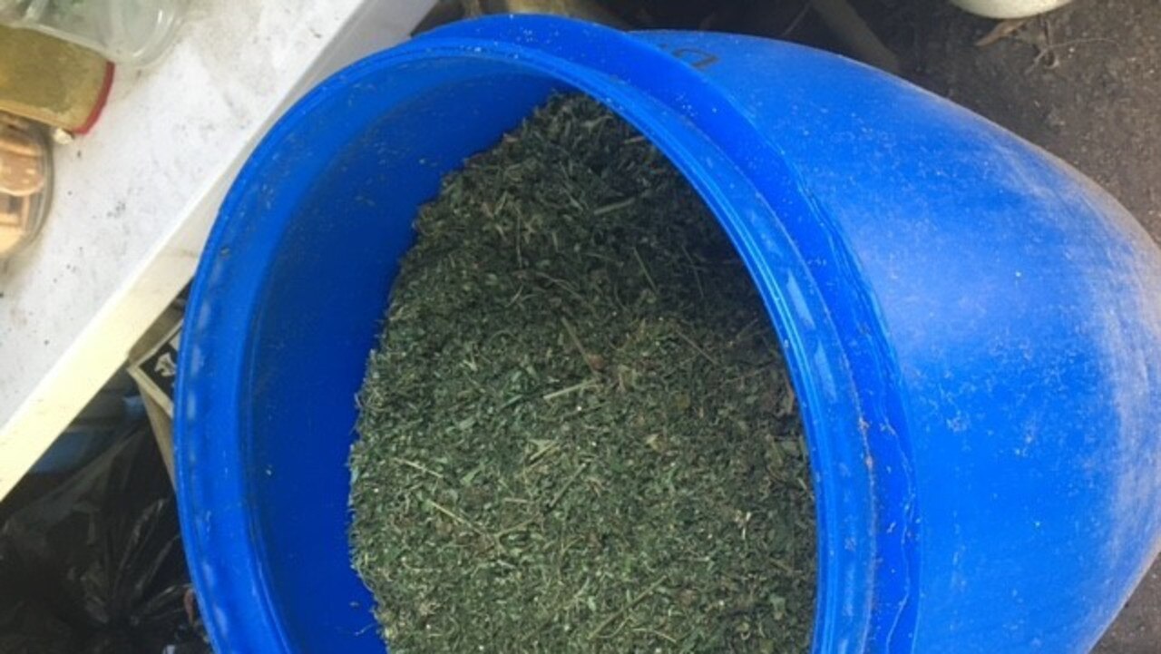 Photos from a drug raid at Schirmers Rd at Ilbilbie where police allegedly found about 800 marijuana plants, weapons and explosives. Picture: Queensland Police Service