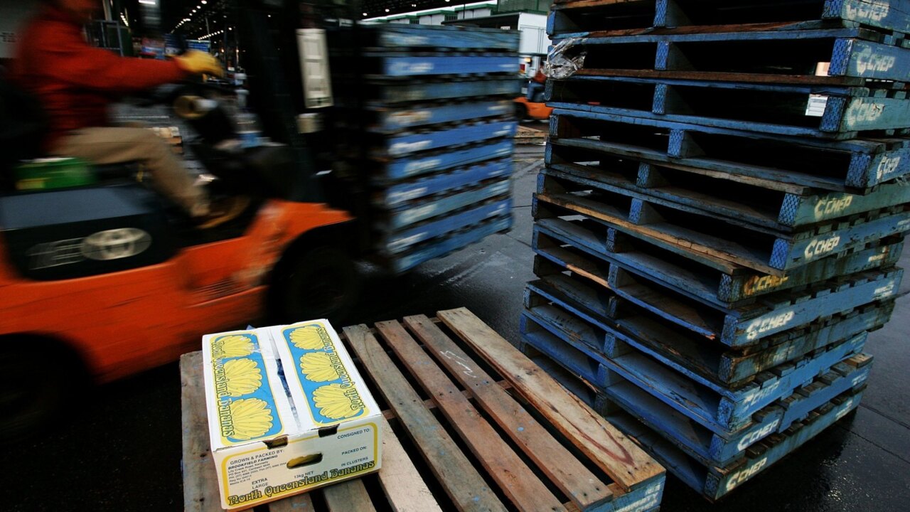 Pallet shortage causes supply chain chaos Sky News Australia