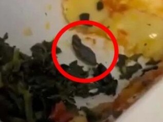A HORRIFIED flight steward has discovered a snake head in their in-flight meal onboard a budget airline amid complaints by staff of mouldy food.