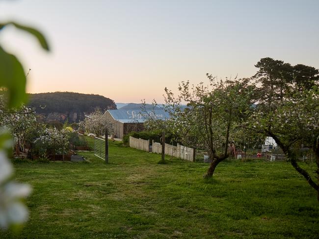 The Romantic Orchard Escape in The Blue Mountains. Picture: Asia Upward/Airbnb