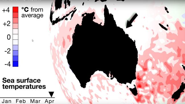 Sea surface temperatures have begun to cool in the Pacific. Picture: BoM.