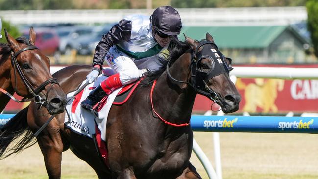 Mr Brightside (NZ) ridden by Craig Williams wins the Lamaro's Hotel Futurity Stakes at Caulfield Racecourse on February 22, 2025 in Caulfield, Australia. (Photo by George Sal/Racing Photos via Getty Images)