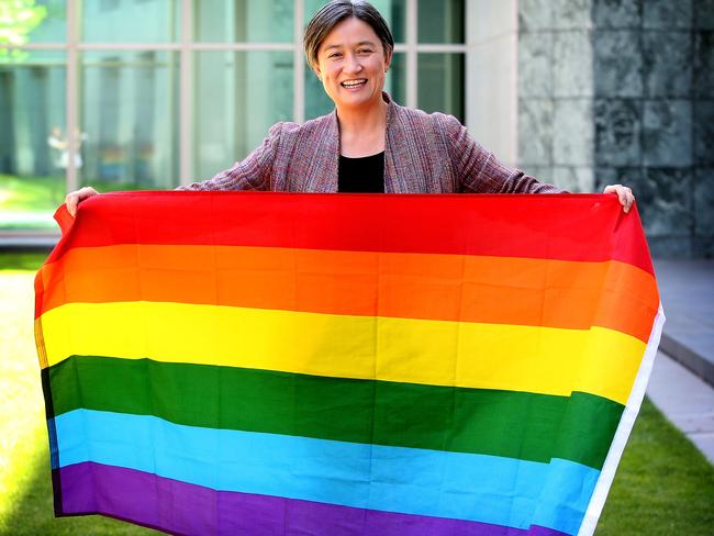 Wong compared the Voice to marriage equality.