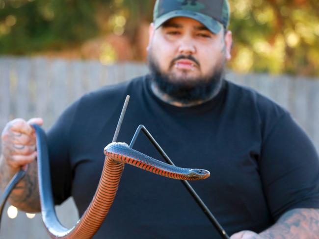 Cory Kerewaro with a red-bellied black snake. Picture: Angelo Velardo.