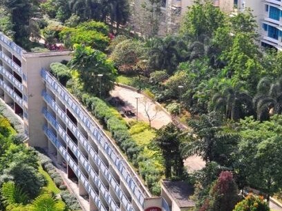 Roof top gardens for sunday mail