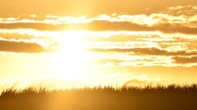 The BoM predicts 29C today - the warmest winter day in two years.