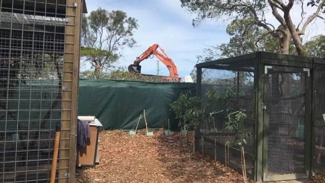 Excavator visible just over the Queensland Koala Society's fence. Picture: Facebook