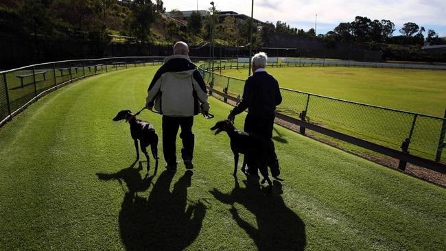 The site has a long history as a greyhound club.