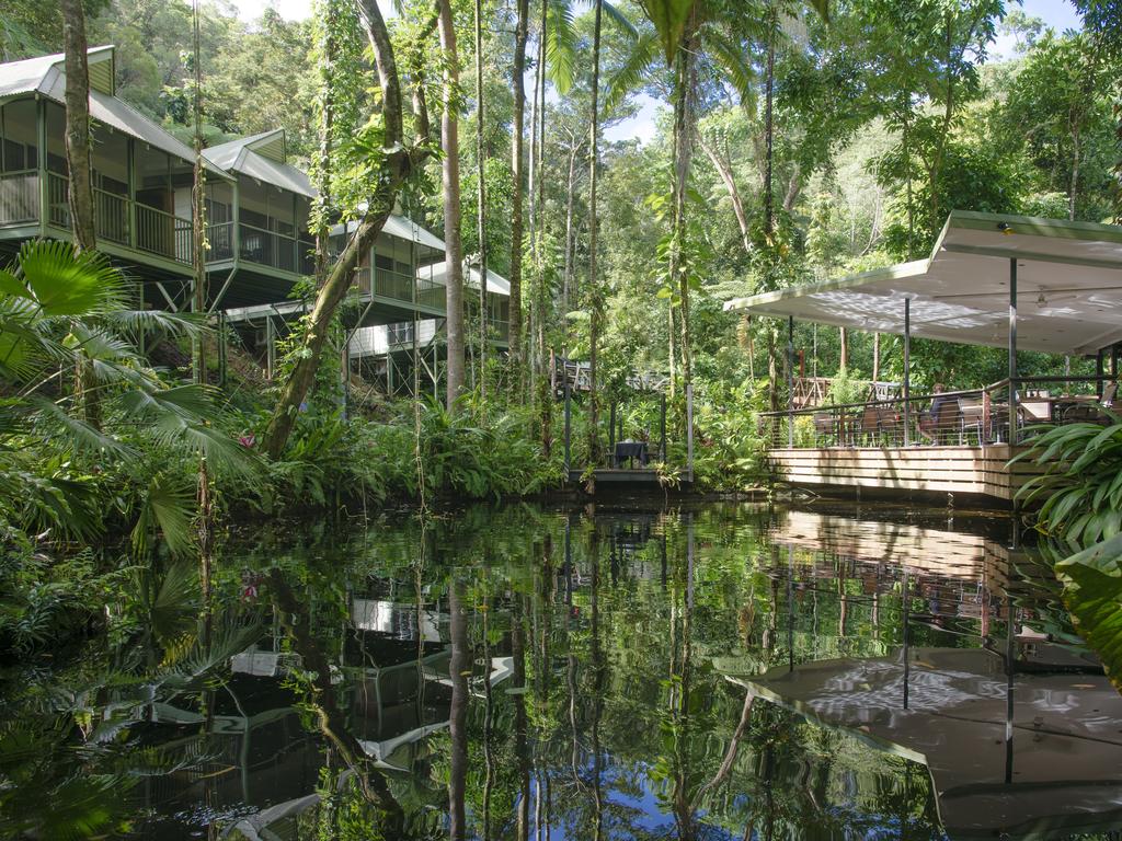 Eco-tourism in the Daintree in Far North Queensland