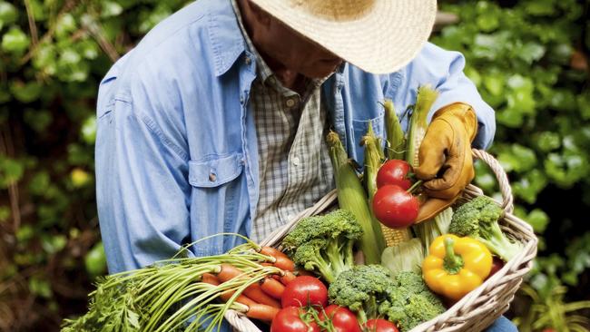 HOME GARDEN Eden Gardens edible gardens for small spaces