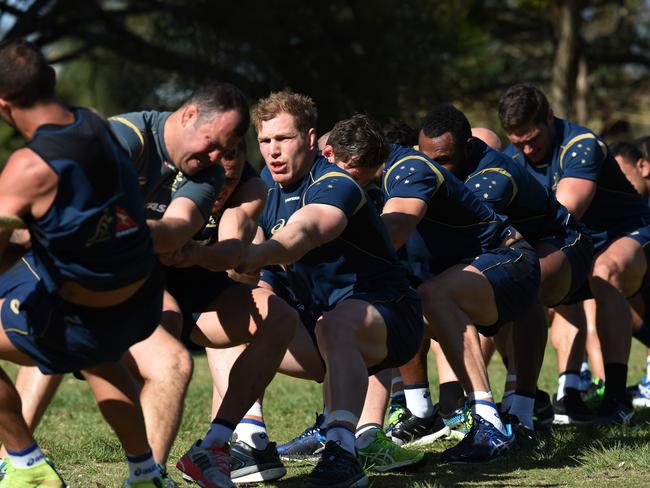 Michael Cheika (2nd from left) joined the Wallabies brutal final training season.