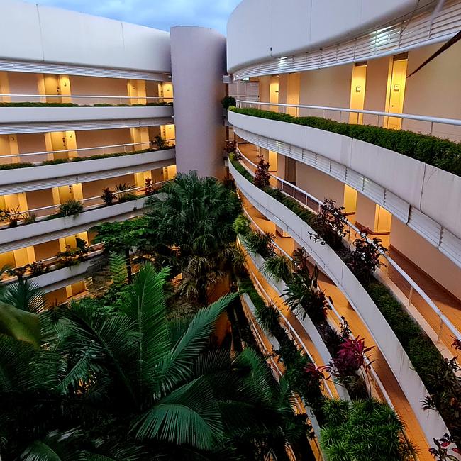 Giant trees weave in-between buildings at Hilton Cairns. Picture: Danica Clayton