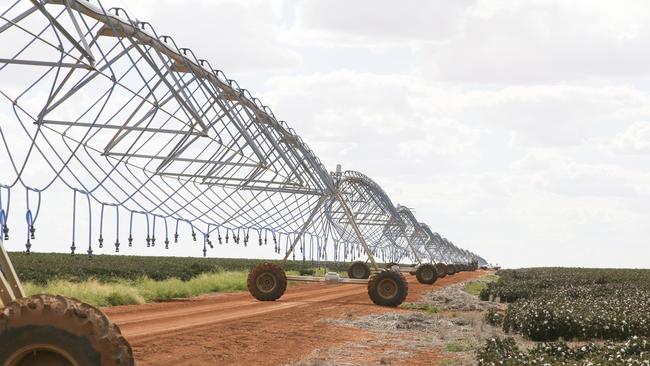 Significant deal: Wyadra in southern NSW was sold to Boston-based investors in 2018-19. The US, along with Canada, are the biggest investors from overseas in Australian agricultural land.