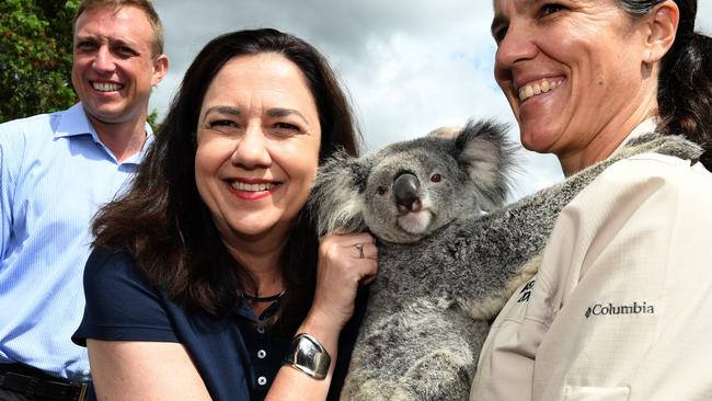 Queensland Premier Annastacia Palaszczuk (centre), joined by the Member for Mount Coot-tha, Steven Miles (left), poses for a photo with Ruby the koala during a visit to Australia Zoo in Beerwah. Picture: AAP/Dan Peled