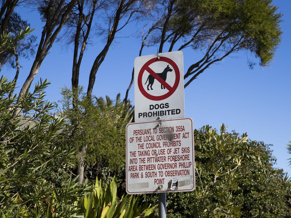 A ‘Dogs Prohibited’ sign at the south end of Station Beach, opposite Palm Beach. Picture: Dylan Robinson.