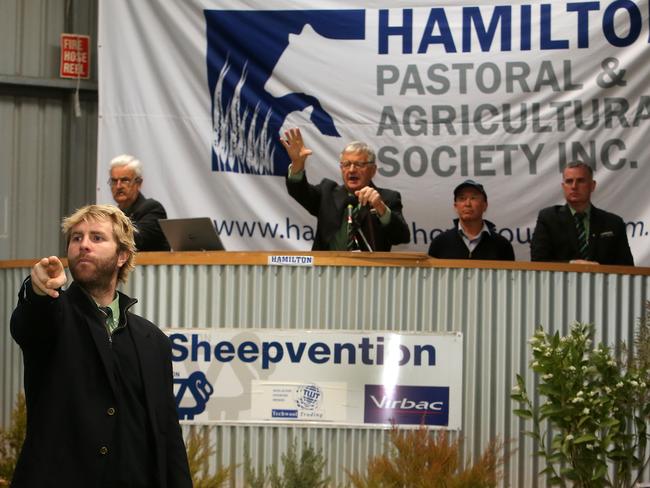 Sheepvention, Hamilton,   Day 3, Elders  Ram Auction, Auctioneer Andrew Sloan, on the floor - Sam Savin,   Picture  Yuri Kouzmin