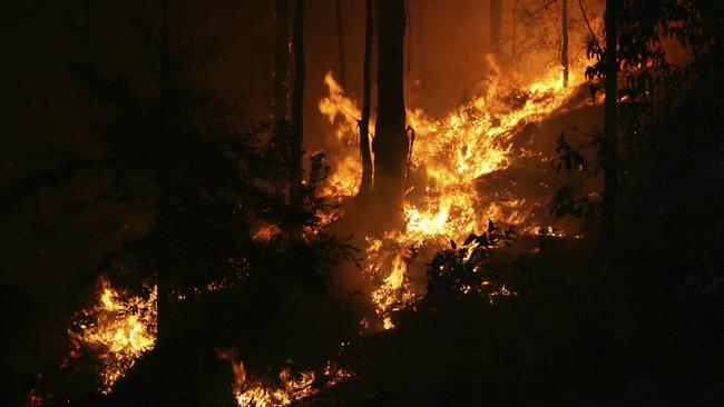 Damian Stanley Burns, pleaded guilty to two counts of dishonestly obtaining advantage or causing disadvantage by deception. iStock.