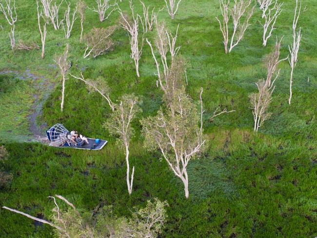 Airboat and trees, Bamurru Plains, Northern Territory Image supplied by Bamurru