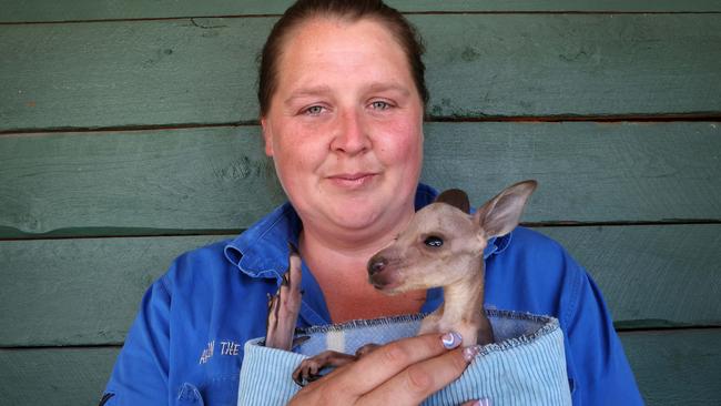 Wildlife carer Bryanna Carter with a joey saved from the fires. Picture: Liam Kidston