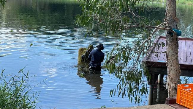 Divers in the Ross River near where Mr Malayta’s body was found.