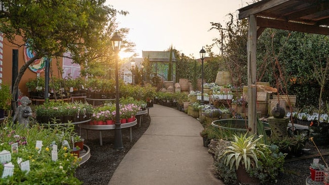 Warwick's Garden Galore is up for grabs. (Photo: Supplied)