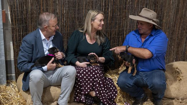 Labor leader Anthony Albanese was out on the hustings at the Sydney Royal Easter Show with partner Jodie Haydon, cuddling chicks and puppies. Picture: Monde Photography on behalf of RAS of NSW