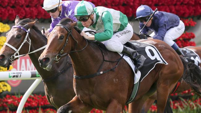 Groundbreaking: Blake Shinn and My Country win the first race for more than 22 months at Eagle Farm. Picture: Jono Searle