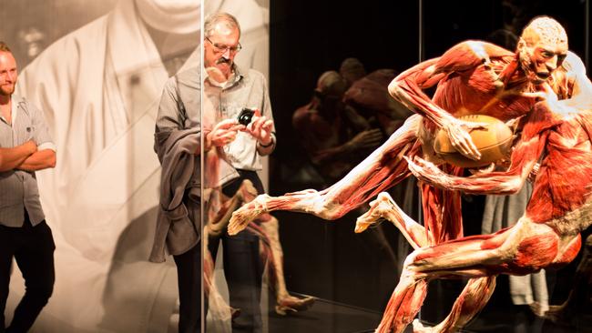 Body Worlds Vital exhibition at Sydney Town Hall. Picture: Rachel Spillane