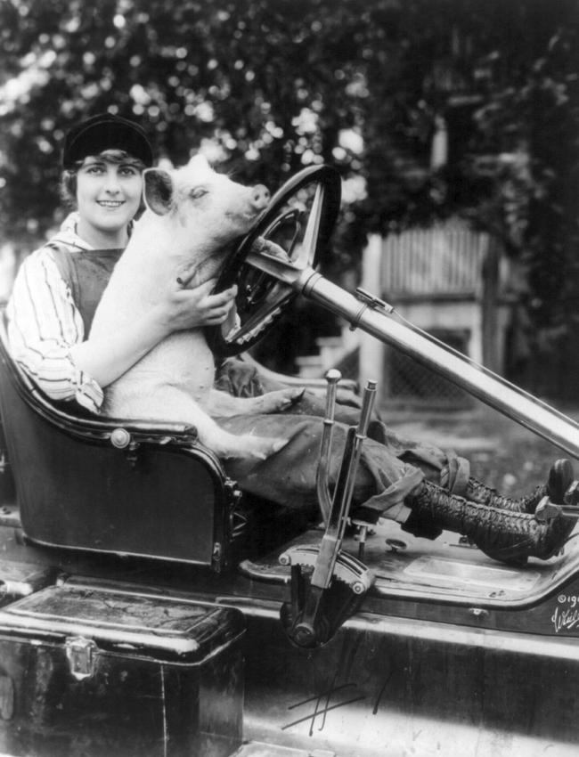 Film star actor Pearl White seated behind steering wheel of an auto in 1916.