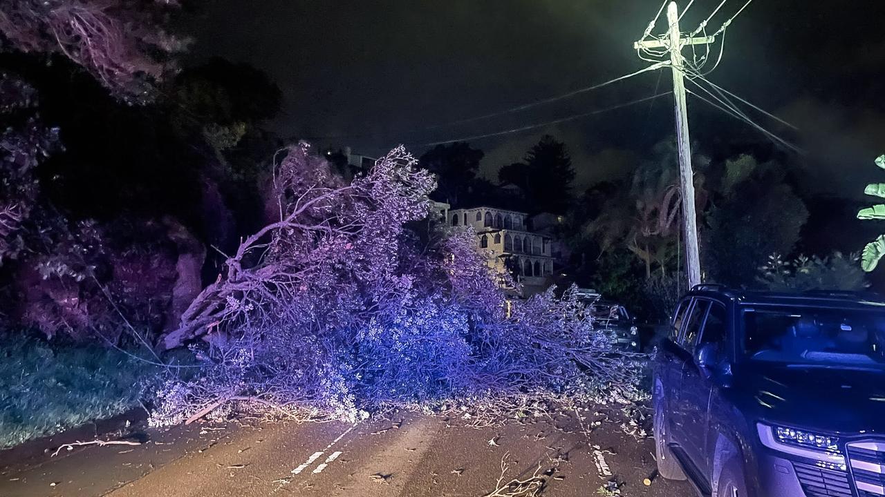 Wild weather causes carnage in major city