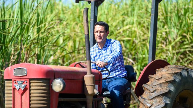 David Crisafulli on his parents cane property at Lannercost, just inland from Ingham, North Qld. Picture: Scott Radford Chisholm