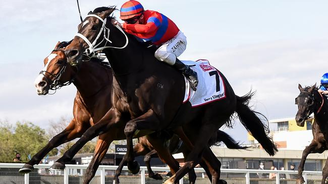 Has Caulfield Cup winner Verry Elleegant been well treated by the handicapper?