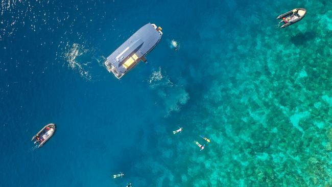 A Coral Expeditions excursion to the outer reef.