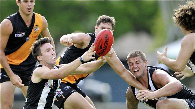 nightcliff tigers v palmerston magpies