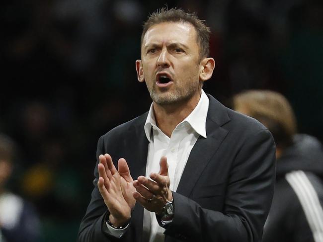 NCA. MELBOURNE, AUSTRALIA. 14th November 2024.  Australian Socceroos vs Suadi Arabia at Melbourne Rectangular Stadium .  Australian coach Tony Popovic gestures from the sideline 1st half   .  Picture: Michael Klein
