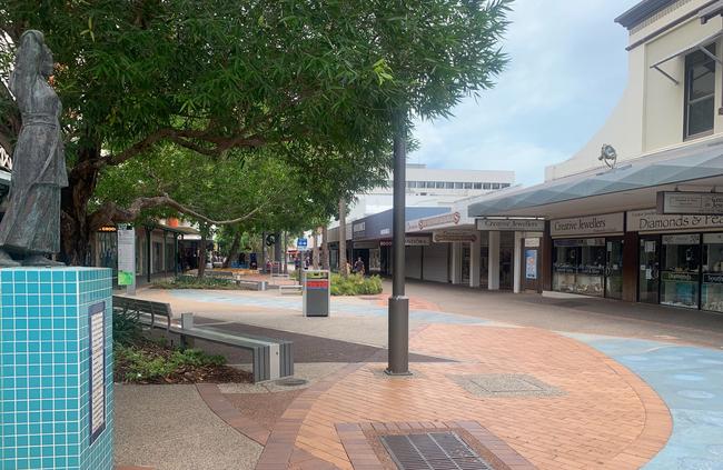 A new board will advise the Nt Government on making the CBD better — including the Smith St Mall.