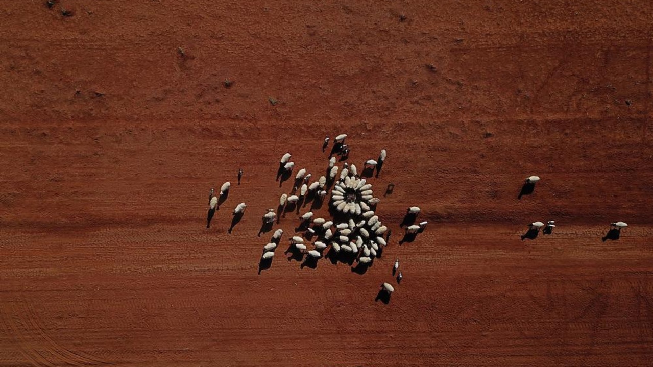 An aerial image of a drought affected farm in Queensland, where 66 per cent of the state has been drought declared.