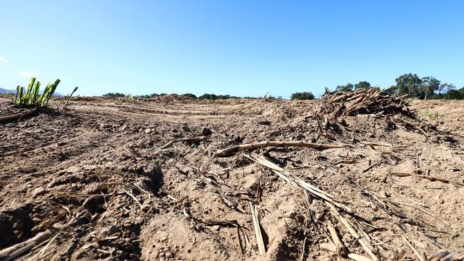 The record breaking floods that swept over Mick Andrejic's Freshwater farm last December have left a layer of silt up to six feet high in some areas. The flooding has affected 250 acres of land used for sugar cane farming, with crop growth and harvesting heavily impacted. Picture: Brendan Radke