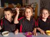 Tassie school lunch project gets top marks