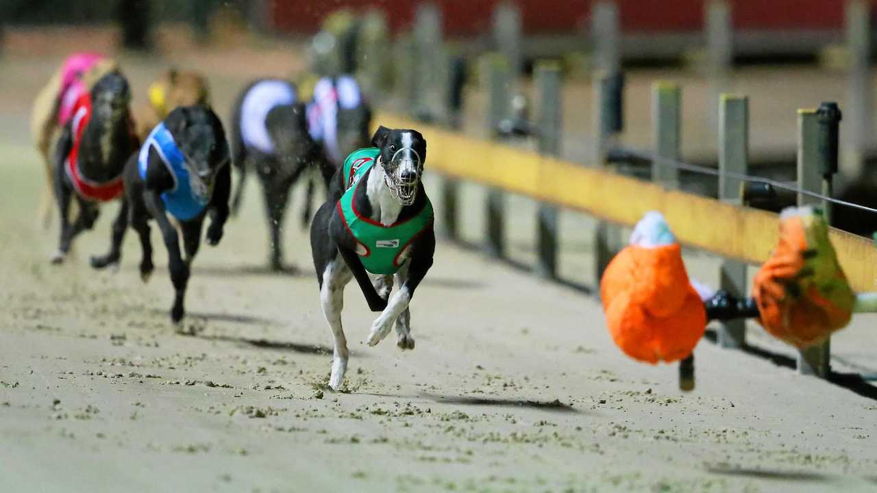 Murwillumbah Greyhound Track Shelved 