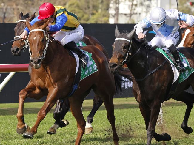 SYDNEY, AUSTRALIA - JULY 24: Brock Ryan on So Say You (white cap) wins race 2 the TAB Highway Class 3 Plate during Sydney Racing at Rosehill Gardens on July 24, 2021 in Sydney, Australia. (Photo by Mark Evans/Getty Images)