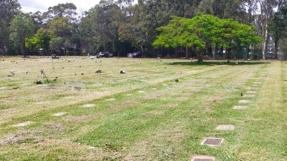 How the cemetery where Mr Somers' nan is buried now looks after being mowed this week. Picture: Brisbane City Council