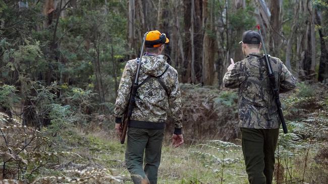 Victorian hunters are now paying the highest license fees in Australia. Picture: Zoe Phillips