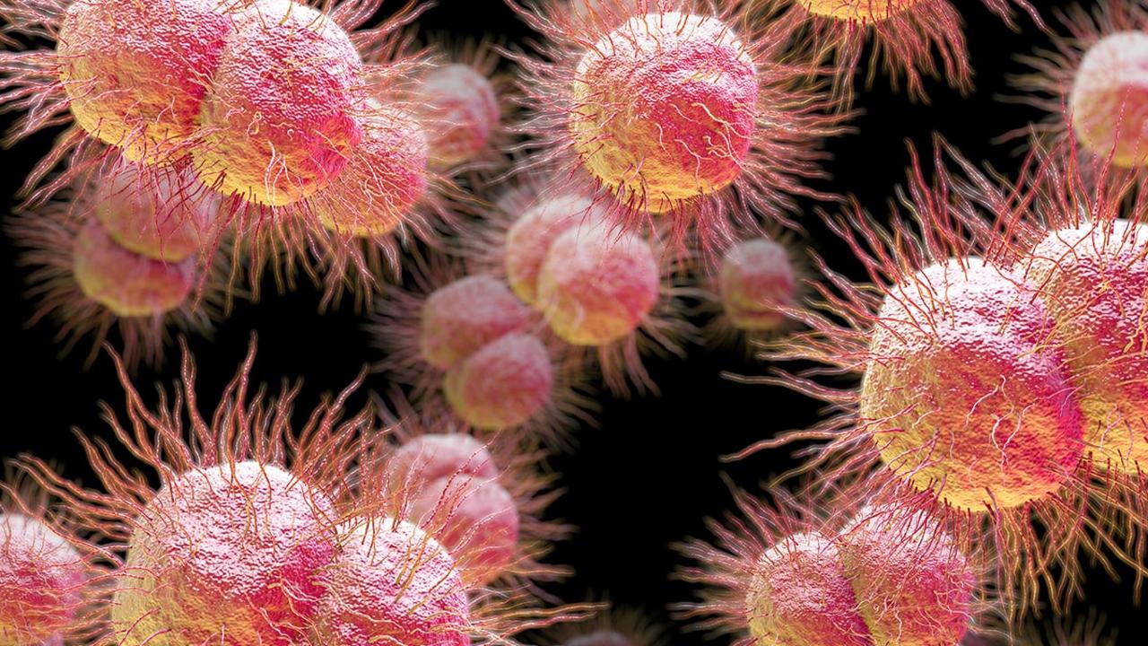 An Austrian man reportedly caught a new drug-resistant strain of gonorrhoea after having intercourse with a sex worker in Cambodia.