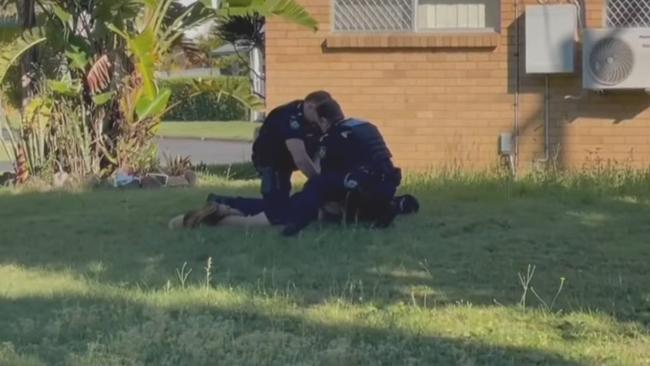 Bliss was disturbed while unlawfully in the yard of a home. Picture: 7News.