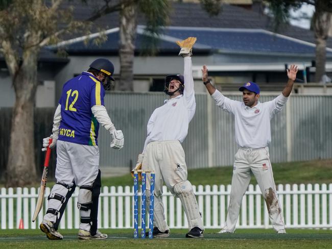 How’s that? NSW players go up. Picture: Valeriu Campan