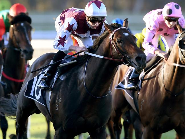 Land Of Plenty has been in striking form and can continue in that vein again on Saturday. Picture: AAP