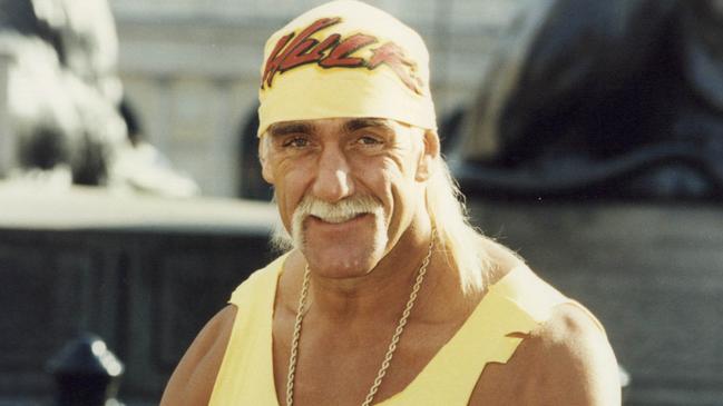 Hulk Hogan, whose case was pivotal to the plan.