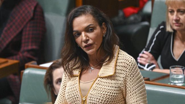 Early Childhood Education Minister Anne Aly says Palestinians are being treated as though they are ‘invisible’. Picture: NCA NewsWire / Martin Ollman