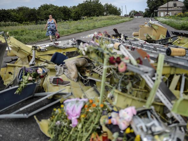 Dutch Police To Reconstruct MH17 Crash Scene Using Photographs | News ...